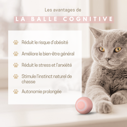 La Balle Cognitive