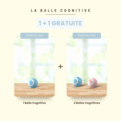 La Balle Cognitive