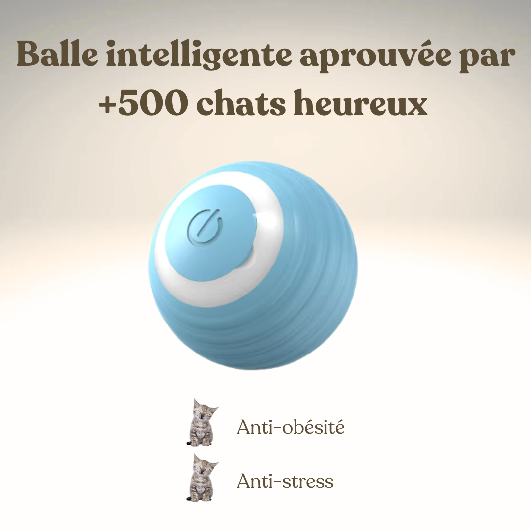 La Balle Cognitive