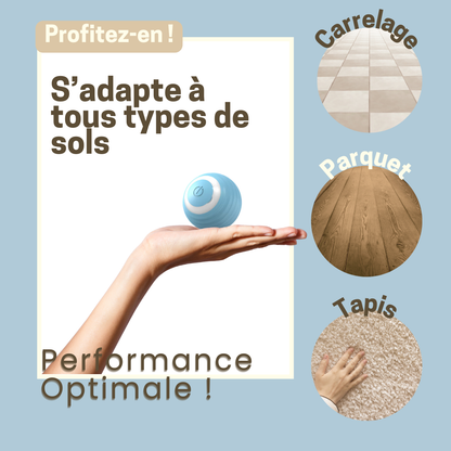 La Balle Cognitive