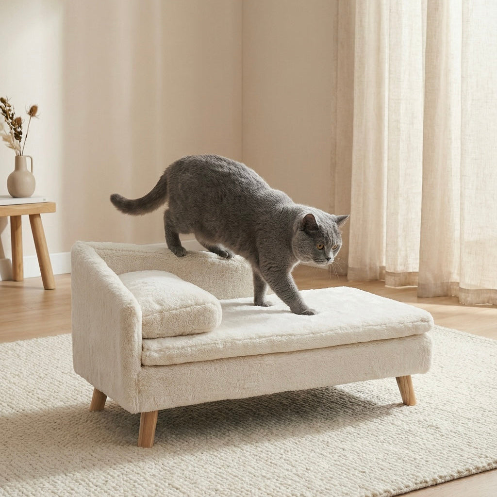 Lounge Félin