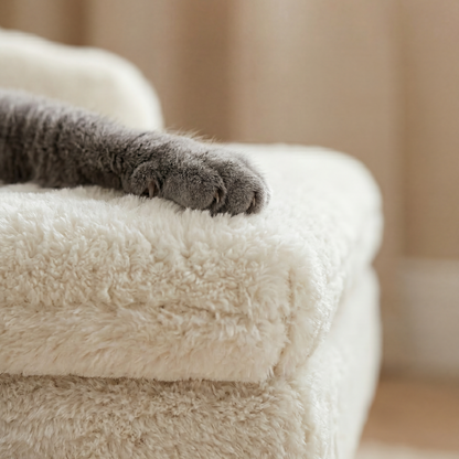 Lounge Félin
