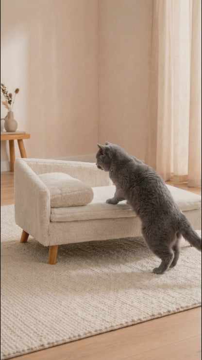 Lounge Félin