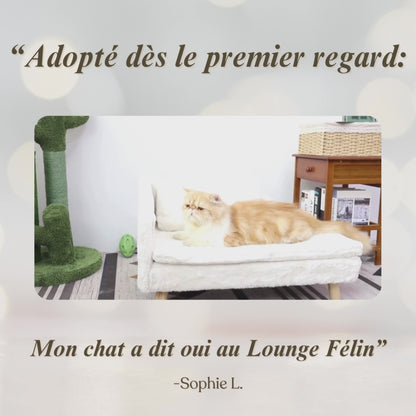 Lounge Félin